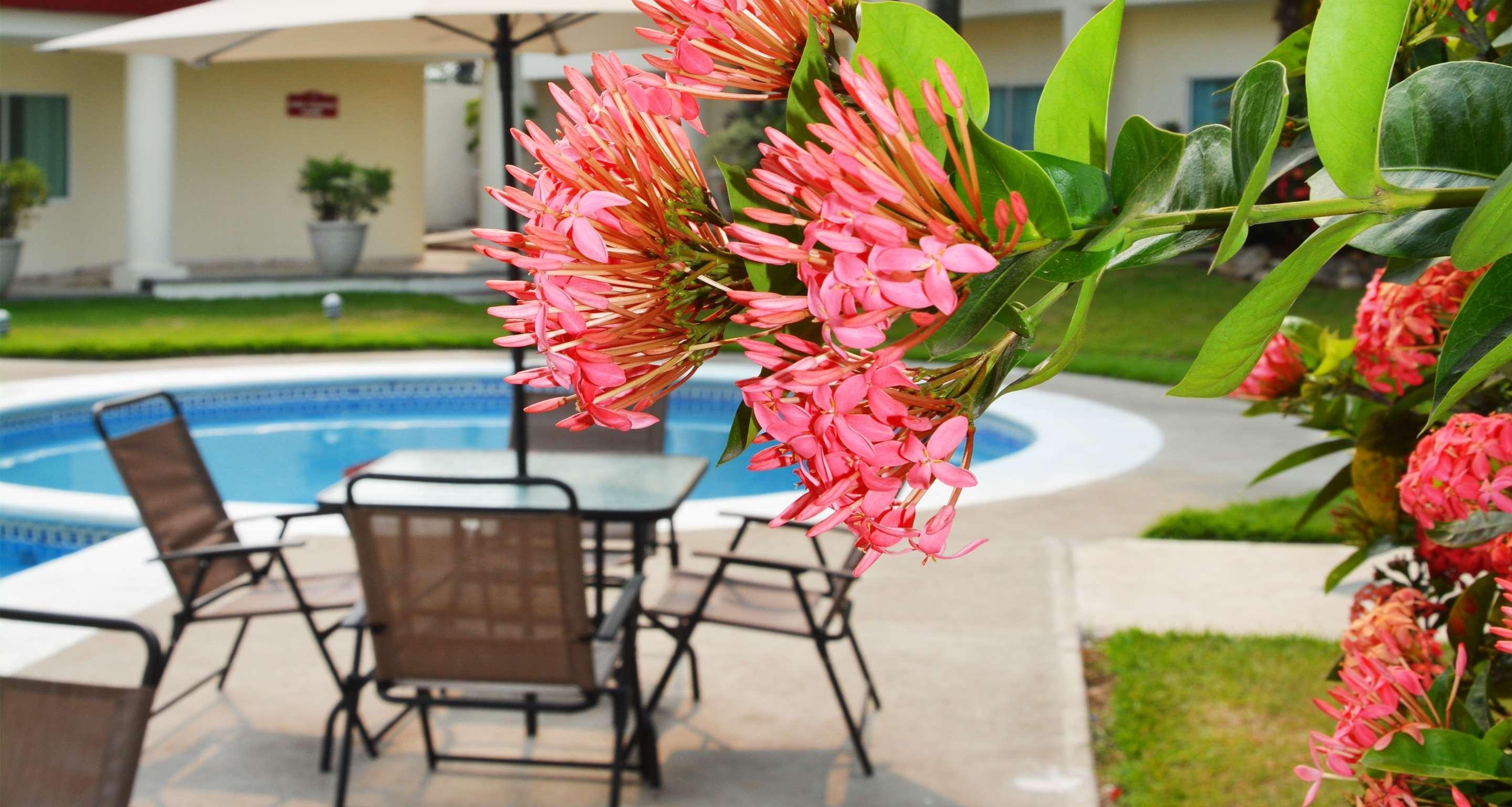 Gran Tuxtepec Plaza Hotel Exterior foto